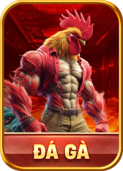đá gà 88vv