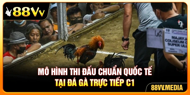  Mô hình thi đấu chuẩn quốc tế tại đá gà trực tiếp C1